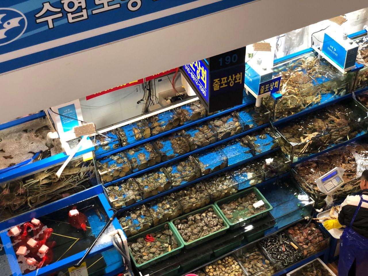 韓国、旅行、韓国市場、ソウル市場